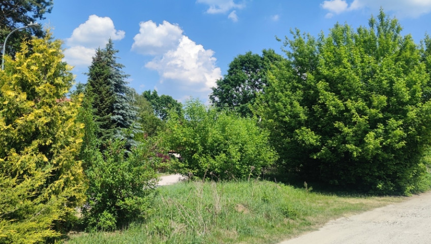 Działka Sprzedaż Wiktorów